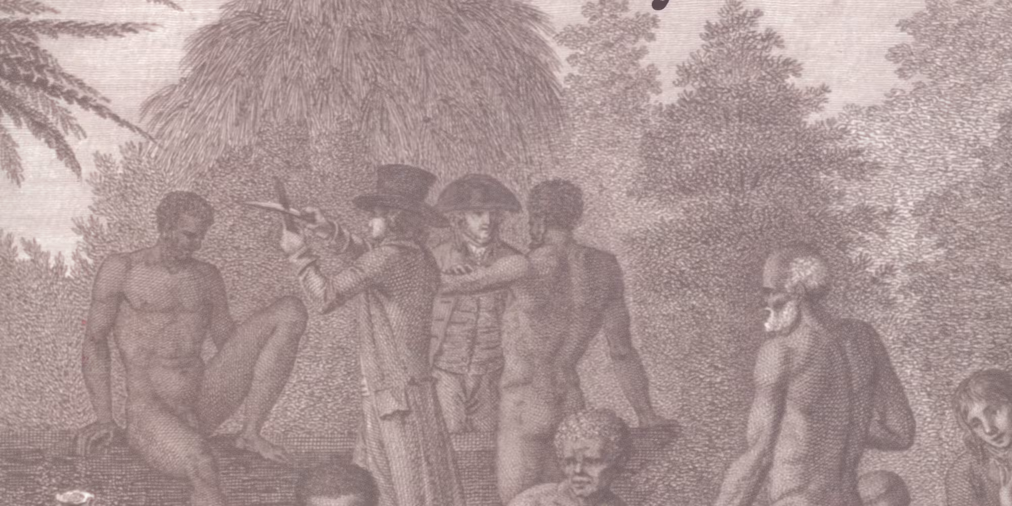 Rediscovering  Recherche Bay Book cover 