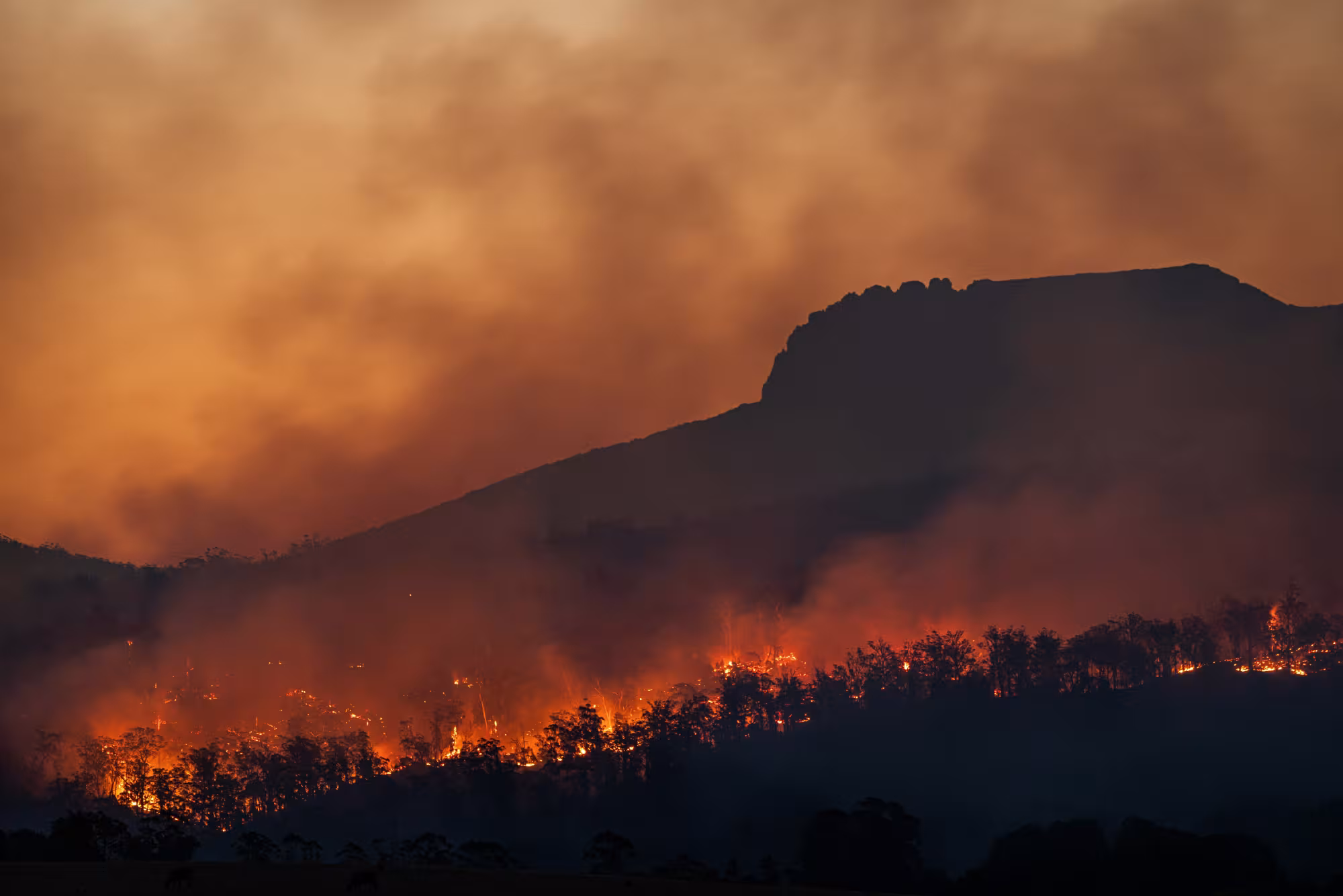 Bushfire Tasmania Website Header 