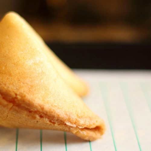 fortune-cookie-asian-business-opportunities asian fortune cookie and business opportunities