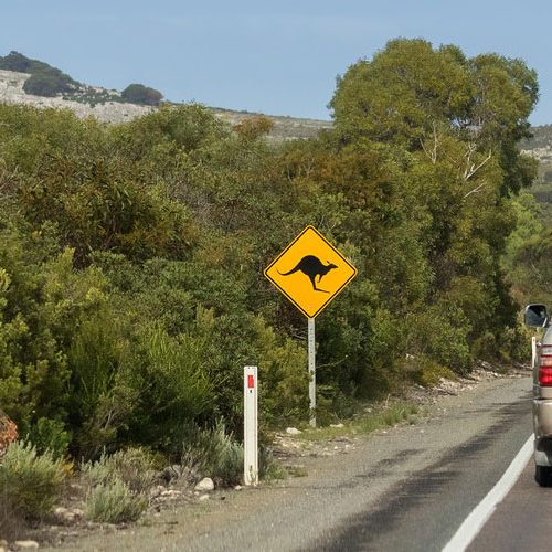 urban-mobility-australian-motorcar australia is dependent on cars for mobility